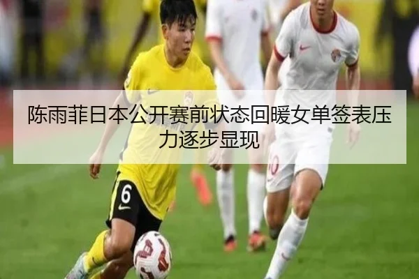 陈雨菲日本公开赛前状态回暖女单签表压力逐步显现 - IYXGAME